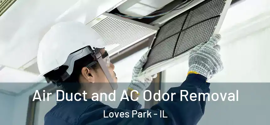 Air Duct and AC Odor Removal Loves Park - IL