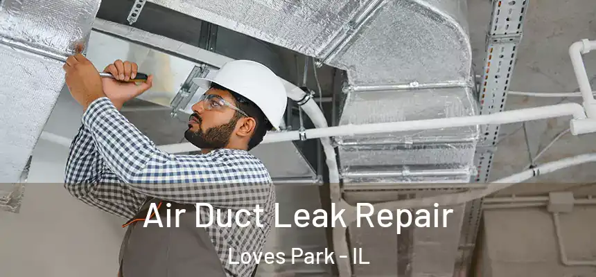 Air Duct Leak Repair Loves Park - IL