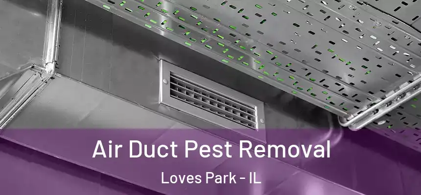 Air Duct Pest Removal Loves Park - IL