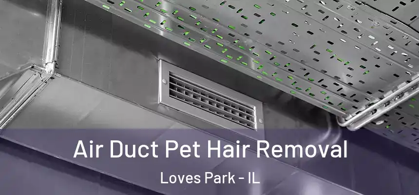 Air Duct Pet Hair Removal Loves Park - IL