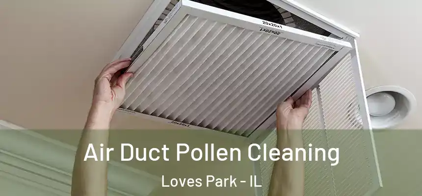 Air Duct Pollen Cleaning Loves Park - IL