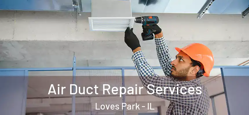 Air Duct Repair Services Loves Park - IL