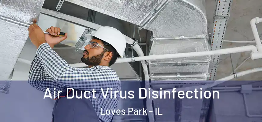 Air Duct Virus Disinfection Loves Park - IL
