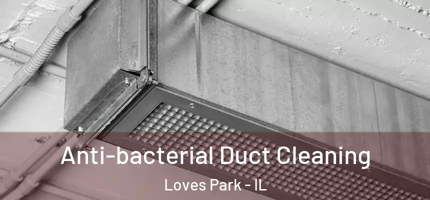 Anti-bacterial Duct Cleaning Loves Park - IL