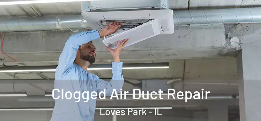  Clogged Air Duct Repair Loves Park - IL