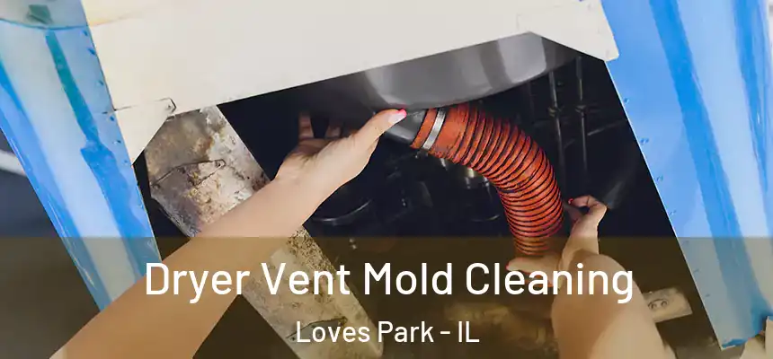  Dryer Vent Mold Cleaning Loves Park - IL