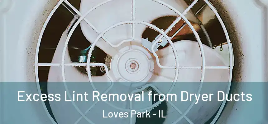 Excess Lint Removal from Dryer Ducts Loves Park - IL