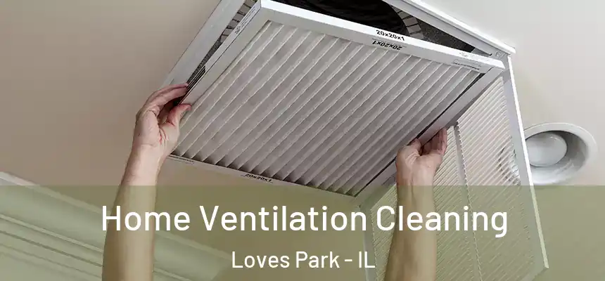 Home Ventilation Cleaning Loves Park - IL