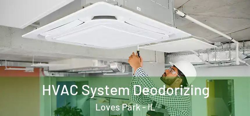  HVAC System Deodorizing Loves Park - IL