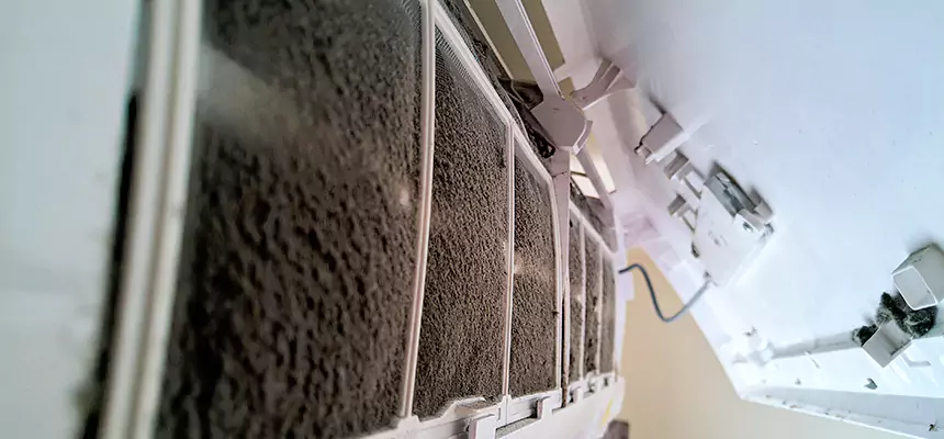 Preventive Air Duct Bacteria Removal in Loves Park