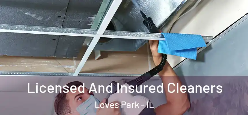  Licensed And Insured Cleaners Loves Park - IL