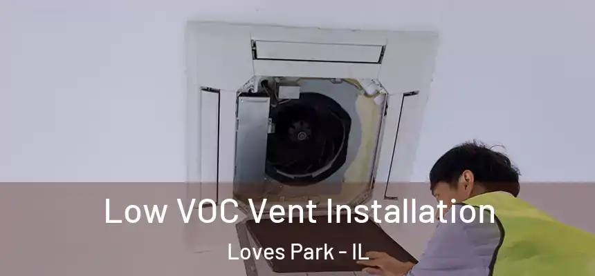  Low VOC Vent Installation Loves Park - IL