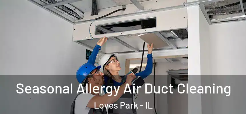 Seasonal Allergy Air Duct Cleaning Loves Park - IL