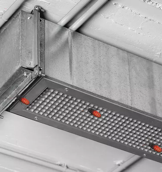 About Air Duct Cockroach Removal in Loves Park, IL