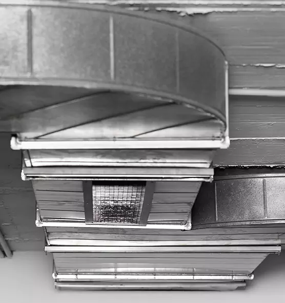 Professional Air Duct Pest Removal in Loves Park, IL