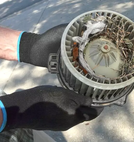 About Air Duct Rat Removal in Loves Park, IL