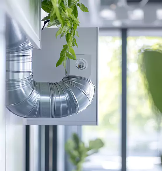 Professional Eco-Safe Dryer Vent Cleaning in Loves Park, IL