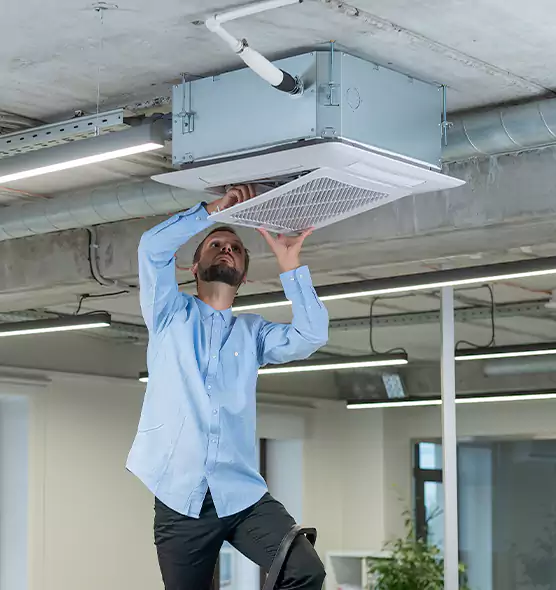 Advanced Rodent Droppings In Vents in Loves Park, IL