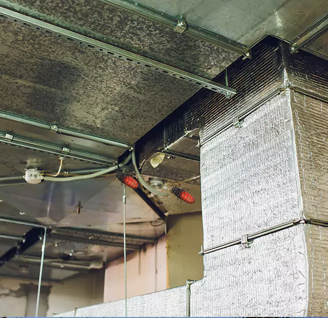 Why Homeowners & Businesses Trust Us in Loves Park, IL?