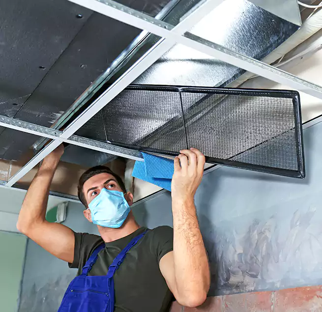 Why Homeowners Businesses Trust Us in Loves Park, IL