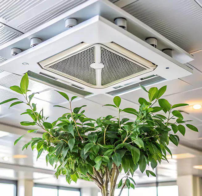 Why Homeowners & Businesses Trust Us in Loves Park, IL?