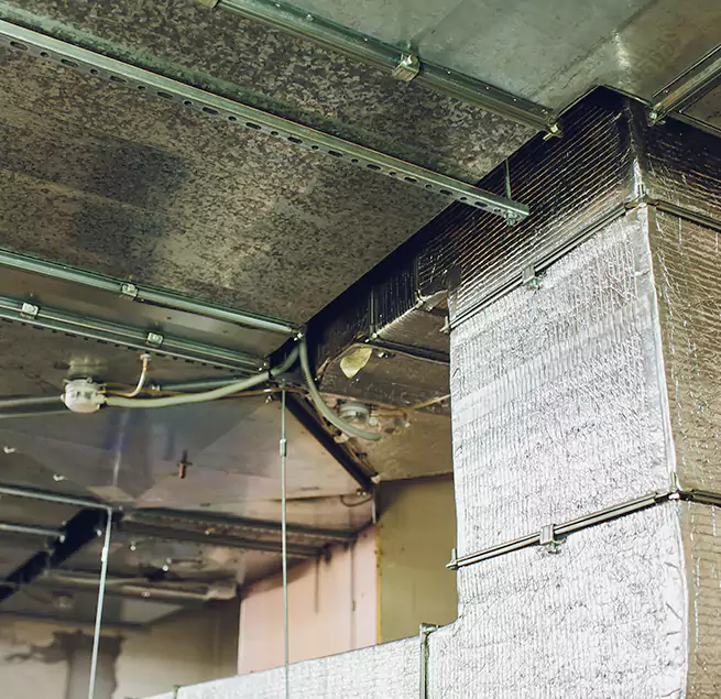 Why Homeowners & Businesses Trust Us in Loves Park, IL?